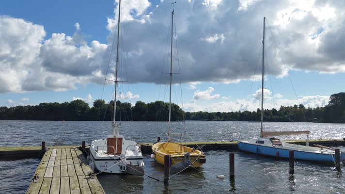 Das gelbe Boot heißt Bienchen - unser Programmkino auch!