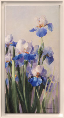 Vernageau, iris French Cancan