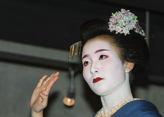 Geisha - Hanamachi
