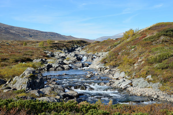 Dovrefjell