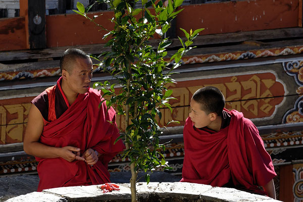 Monks in Trongsa Dzong