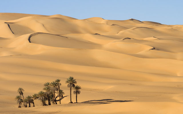 Dunes / Libya