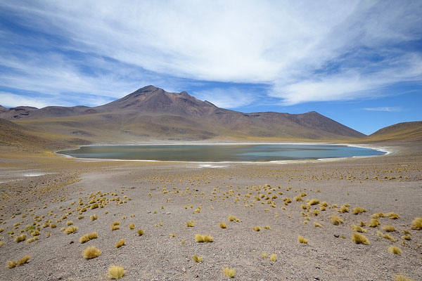 Laguna Miscanti - Atacama Desert