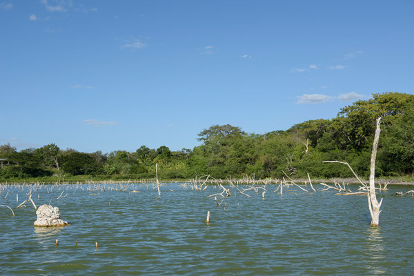 Reserve Natural Complejo Volcánico