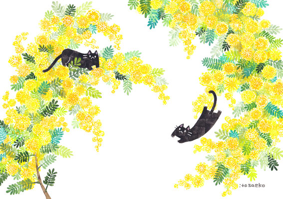 「ミモザとネコ」B5/水彩絵具