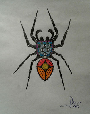 Spider is a little fighter/ for Ursula--- auf A5 Papier/ Bleistift 0.5mm und Farbstifte