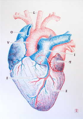 LoveLife 70x100 cm 