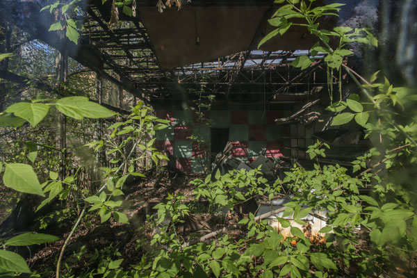 A shop in the abandoned city of Pripyat overrun by nature.