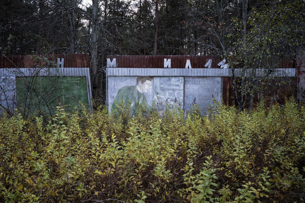 A Soviet propaganda cartel submerged by nature in the abandoned military city of Chernobyl-2 within the Chernobyl Exclusion Zone.