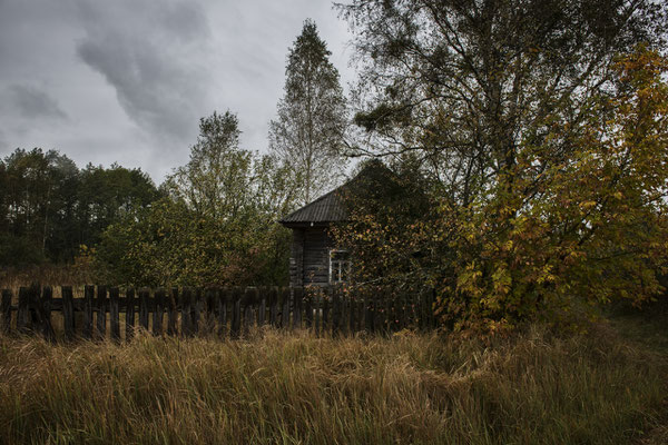 A house surrounded by nature in an abandoned village in the Chernobyl exclusion zone.