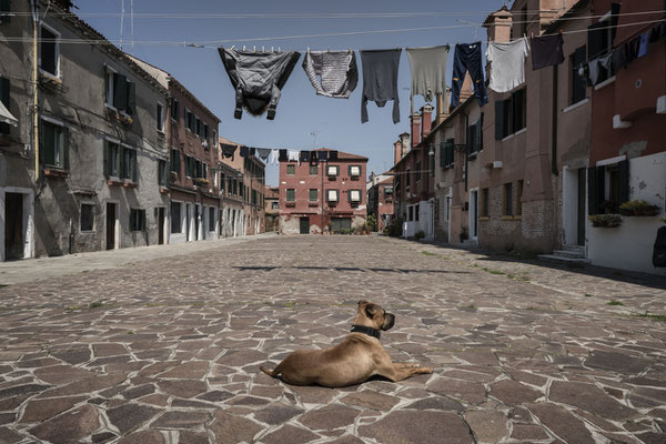 A dog sunbathes in an empty square. Court of the Cordami, Giudecca