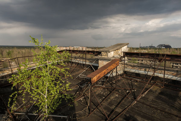 A tree grown on the roof of the Polessya hotel located in the abandoned city of Pripyat. In the background, the exploded reactor of the Chernobyl nuclear power plant.