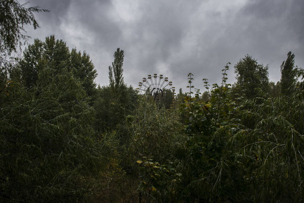 The Ferris wheel of the city of Pripyat surrounded by nature that now overwhelms the city.