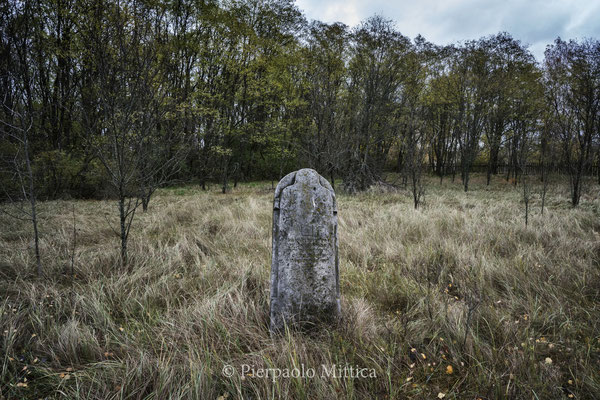 The old Jewish cemetery of Chernobyl. 