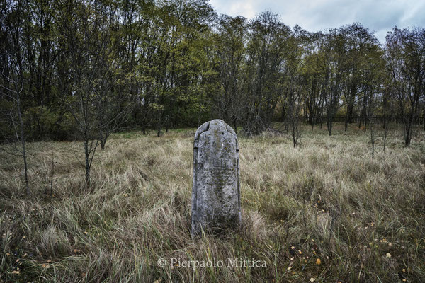 The old Jewish cemetery of Chernobyl. 