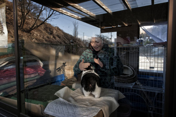 Animal activist with a cat rescued from the exclusion zone, Iwaki City.