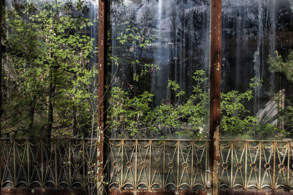 A shop in the abandoned city of Pripyat overrun by nature.