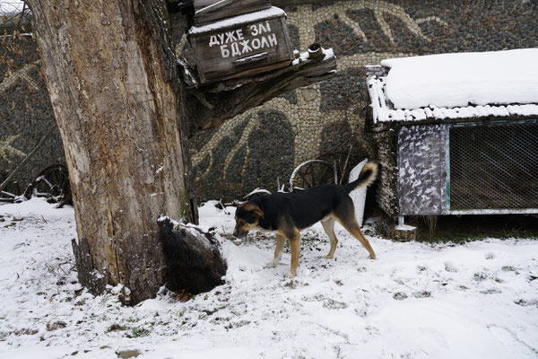 A boar's head in the garden of the Kafe-Bar Myslyvsʹkyy Dim, along the road to Ivankiv.  This bar hotel before the war was a popular place in the region for weddings and parties. It was bombed and destroyed by the Russians.