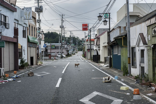 Odaka city before the evacuation had 13 thousand inhabitants. Some houses have been damaged by the earthquake, but most of the structures have survived. Odaka City, Fukushima No-Go Zone, Japan.