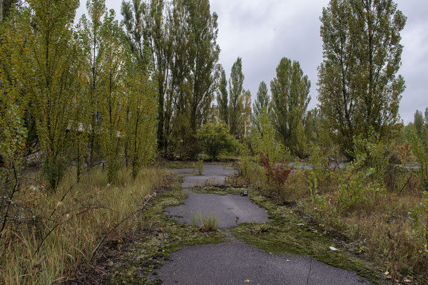 The abandoned city of Pripyat overrun by nature.