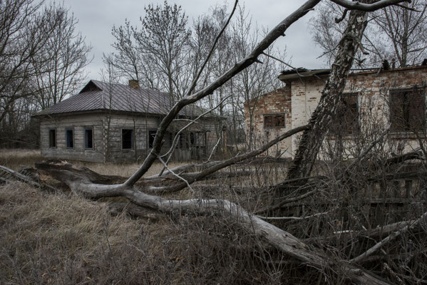 An abandoned village, Chernobyl Exclusion Zone