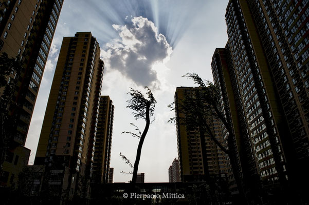 The neighborhood used as social housing in the new district of Kangbashi, Ordos