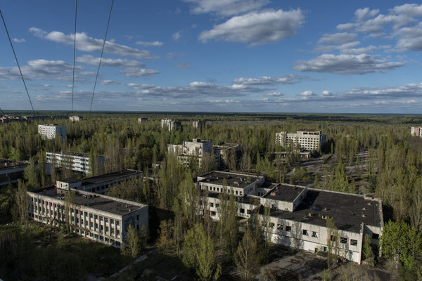 The abandoned city of Pripyat overrun by nature.