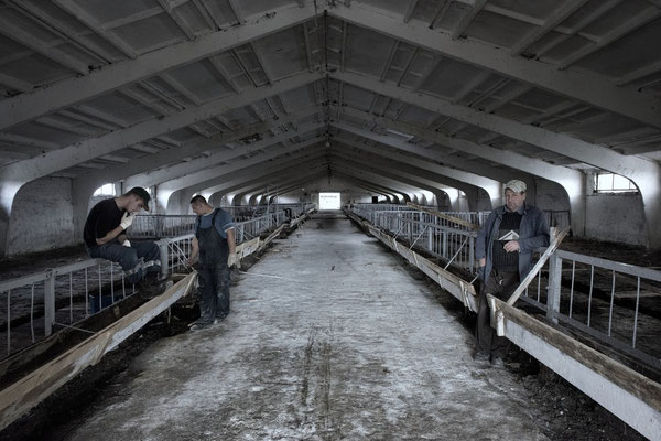 Cow breeders on the Dubovy Log village collective farm.