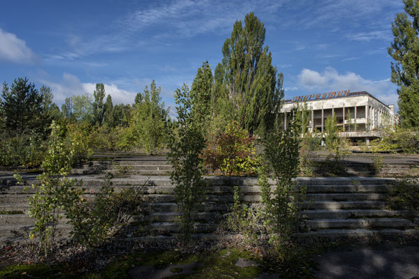 The abandoned city of Pripyat overrun by nature.