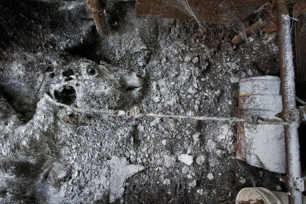 Abandoned farm, Namie,  Fukushima "No-Go Zone", Japan.
