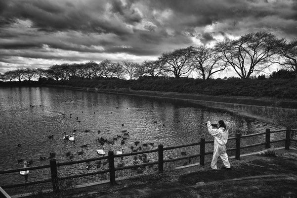 Animal activist looking at the swans in a contaminated lake inside the exclusion zone, Kamishigeoka, Naraha, Fukushima "No-Go Zone", Japan.