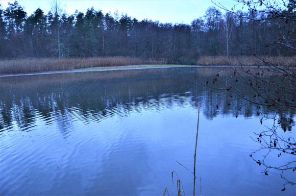 Der untere Hausse in Sandhof. Foto: Martin Wölker