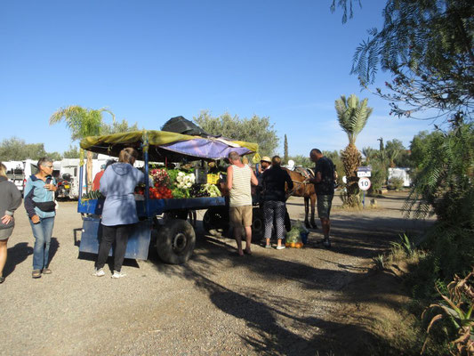 Der Gemüsehändler kommt aufs Camping Relais bei Marrakech
