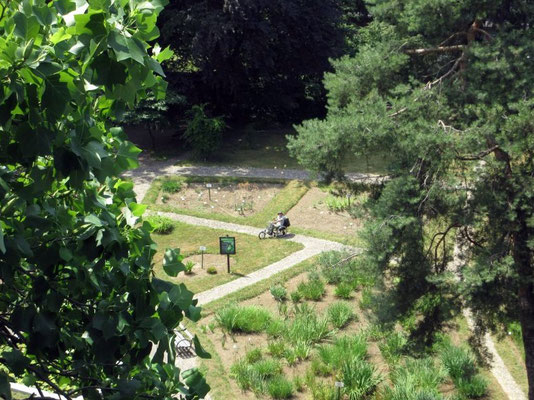 Der Wasserturm dient als  Aussichtsturm im Botanischen Garten