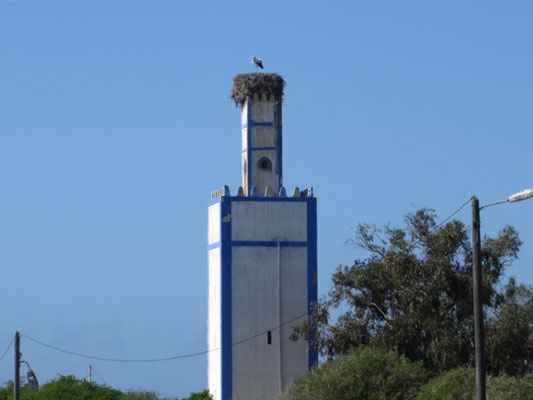 Das Storchenpaar fühlt sich wohl auf dem Minarett