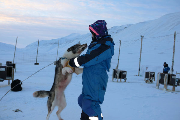 Ontdek Spitsbergen / photocredits: Bjorn van Teeffelen