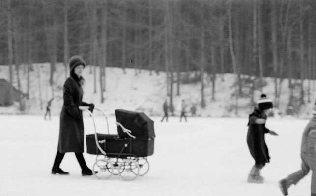 Januar 1980; Eisfeld Waldweiher