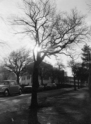 Dezember 1979; Haus Schwarzenbach Ecke Schwandelstrasse / Feldstrasse
