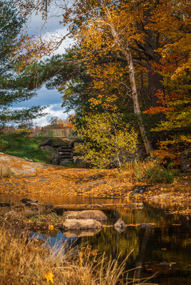 Muskoka