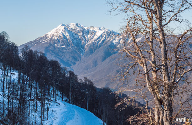 Rosa Khutor