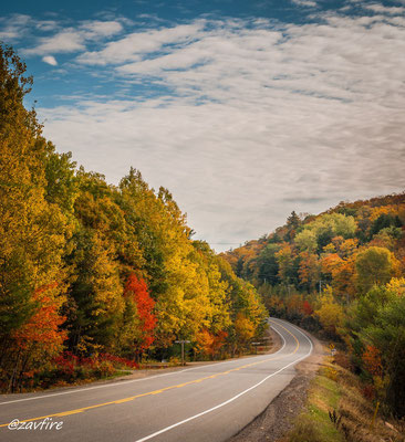 Muskoka