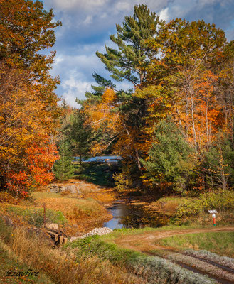 Muskoka