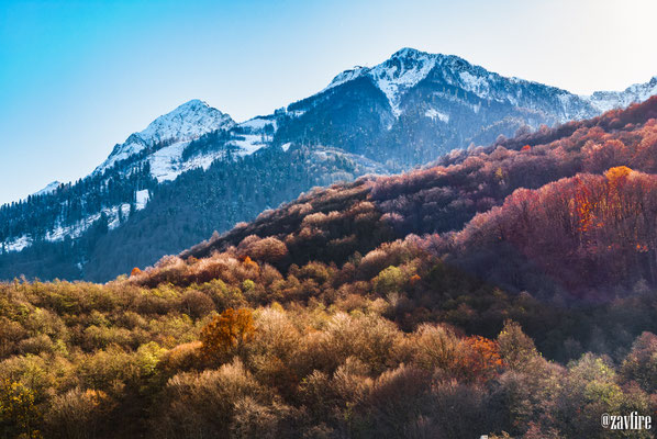 Krasnaya Polyana