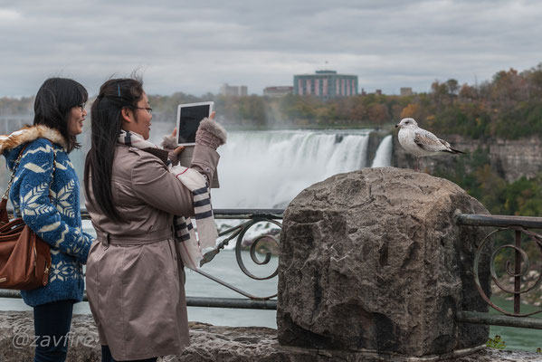 Niagara Falls