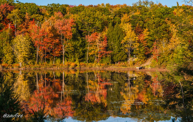 Muskoka