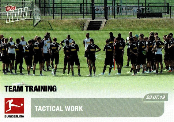 TEAM TRAINING ("Tactical work")