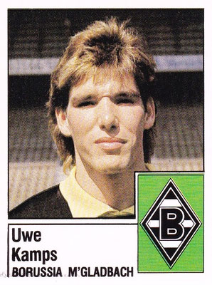 Panini 87 Bild 235