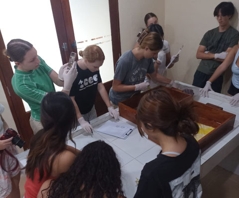 volunteer program 