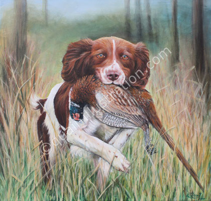 Jagdhund