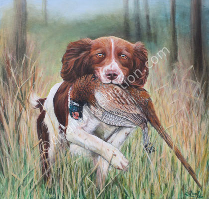 Jagdhund